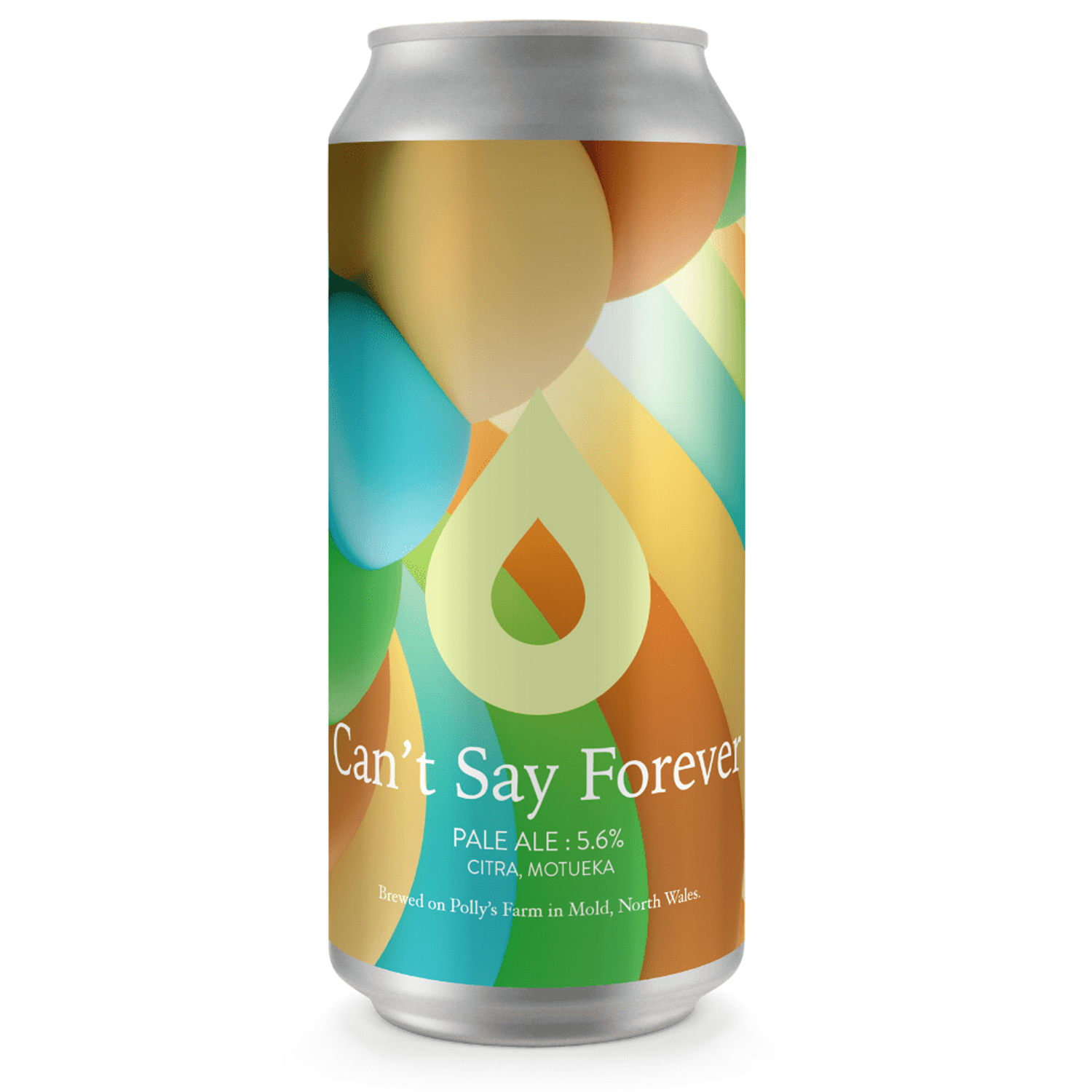 Polly&#39;s Can&#39;t Say Forever Pale Ale
