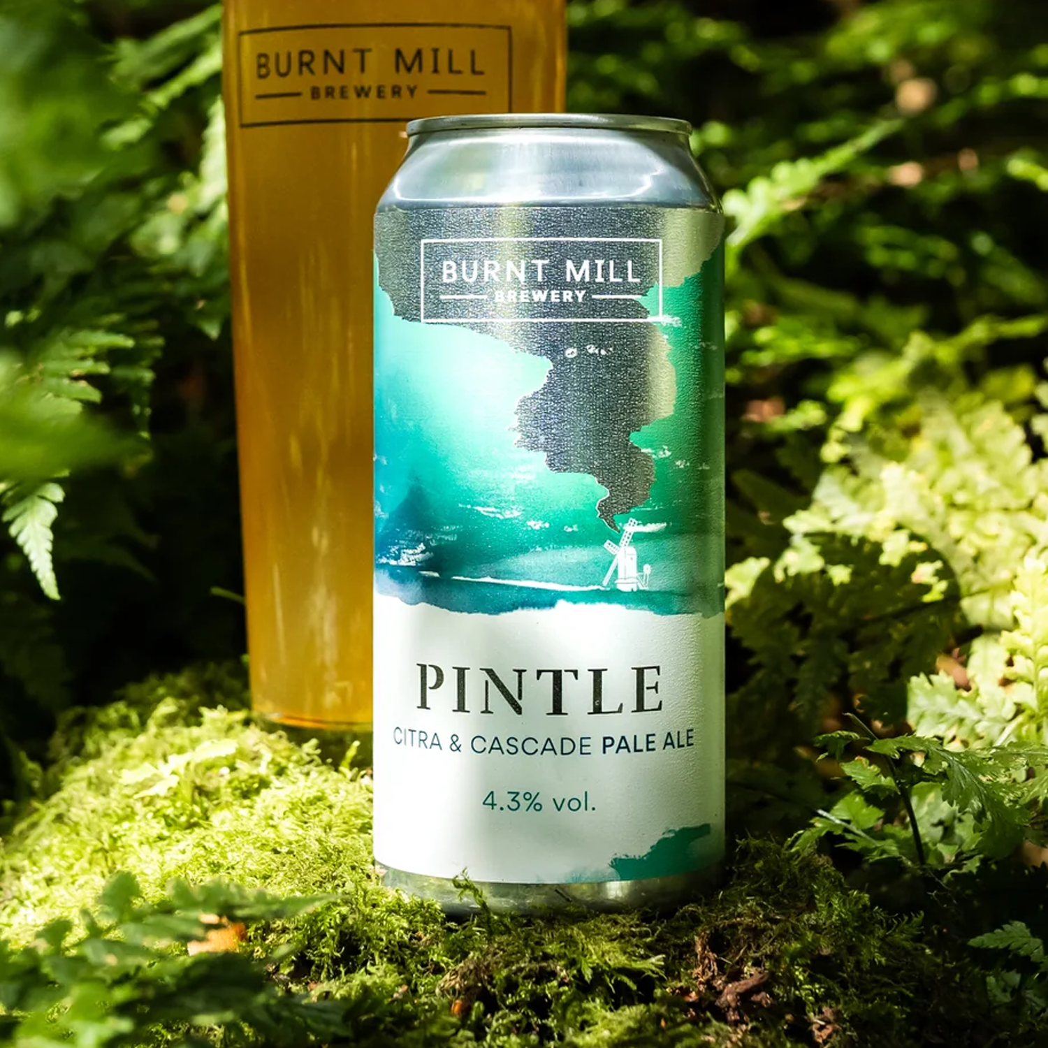 Burnt Mill Pintle Pale Ale Burnt Mill Pintle Pale Ale