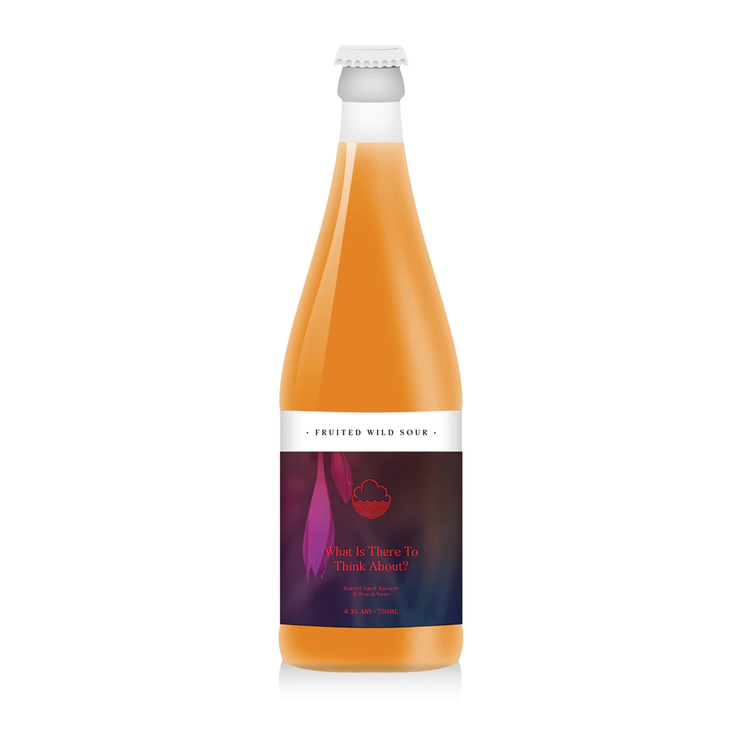 Cloudwater What Is There To Think About? Fruited Wild Sour