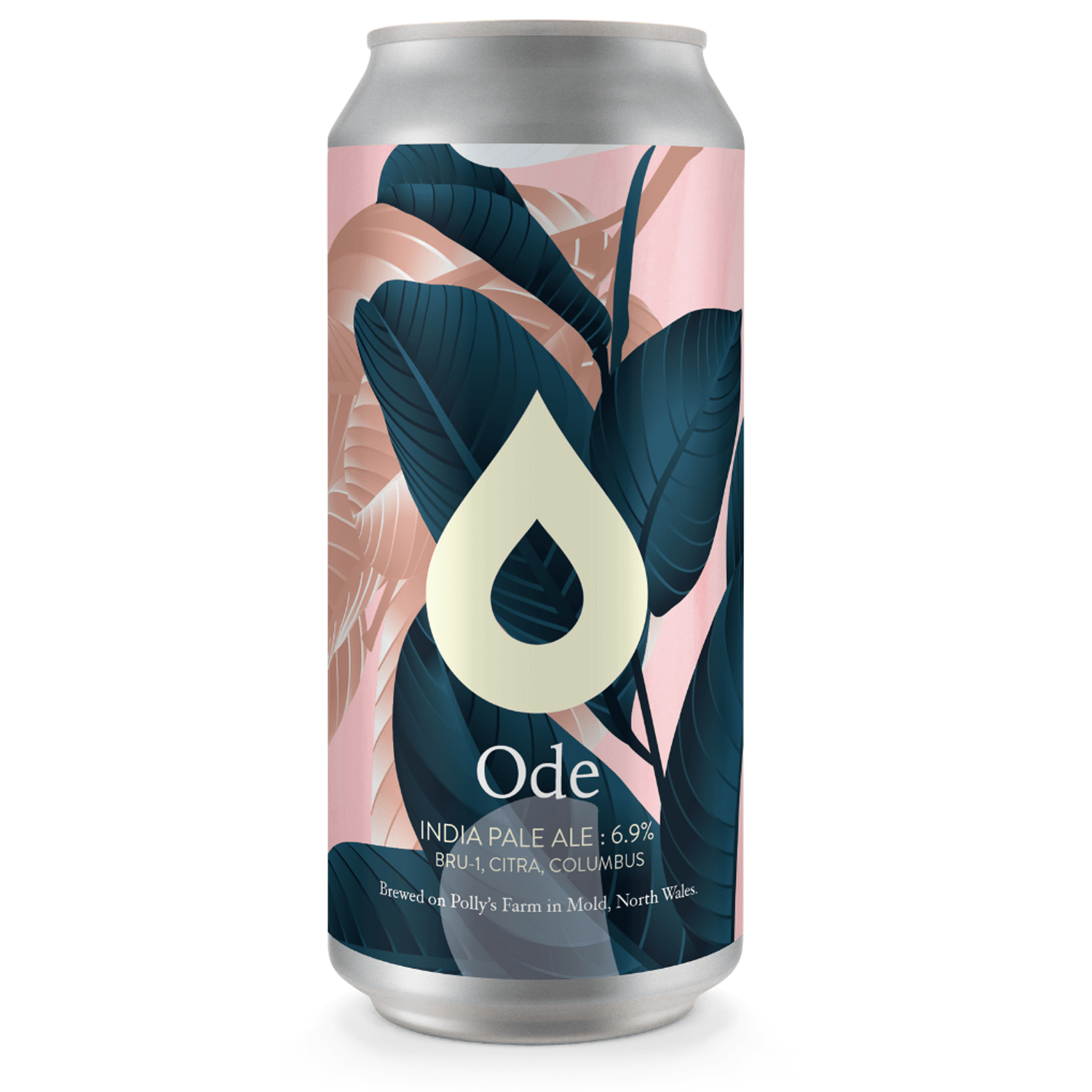 Polly's Ode IPA