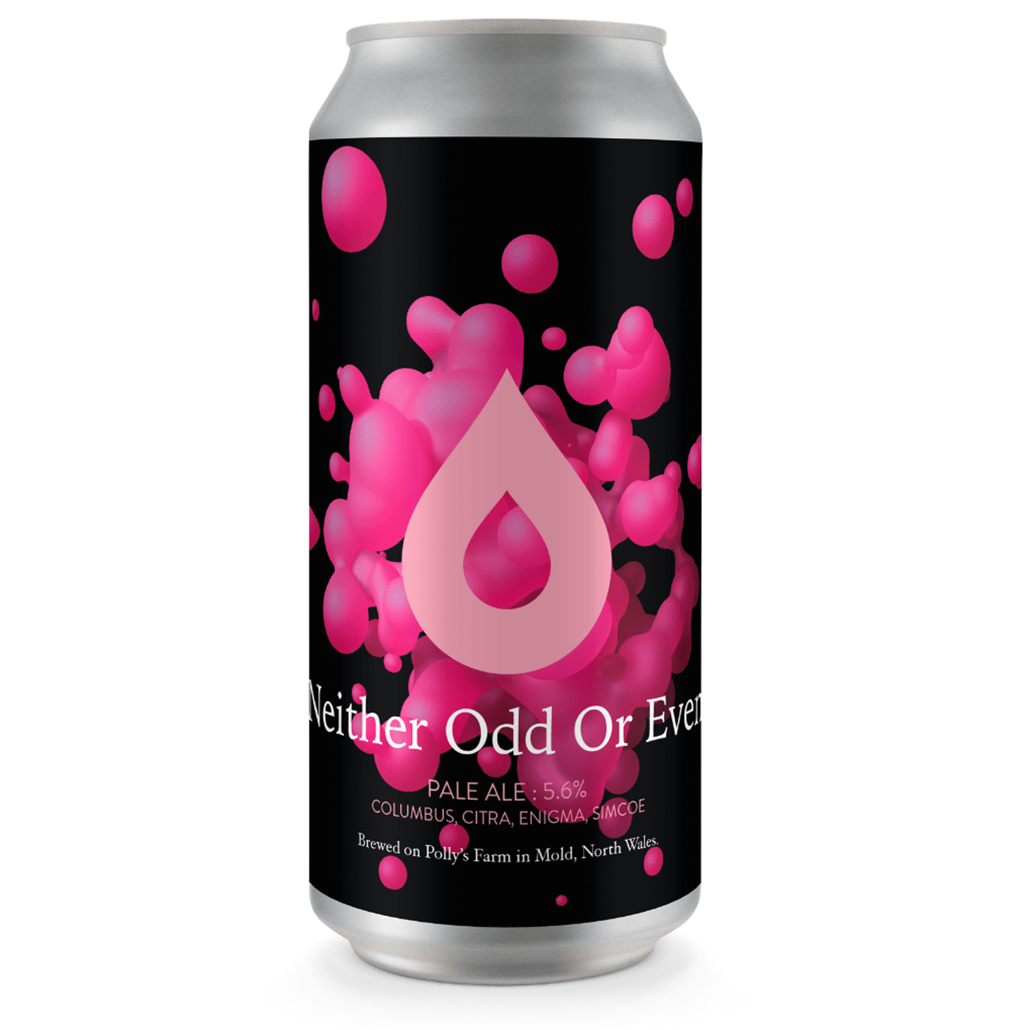 Polly's Neither Odd Or Even Pale Ale