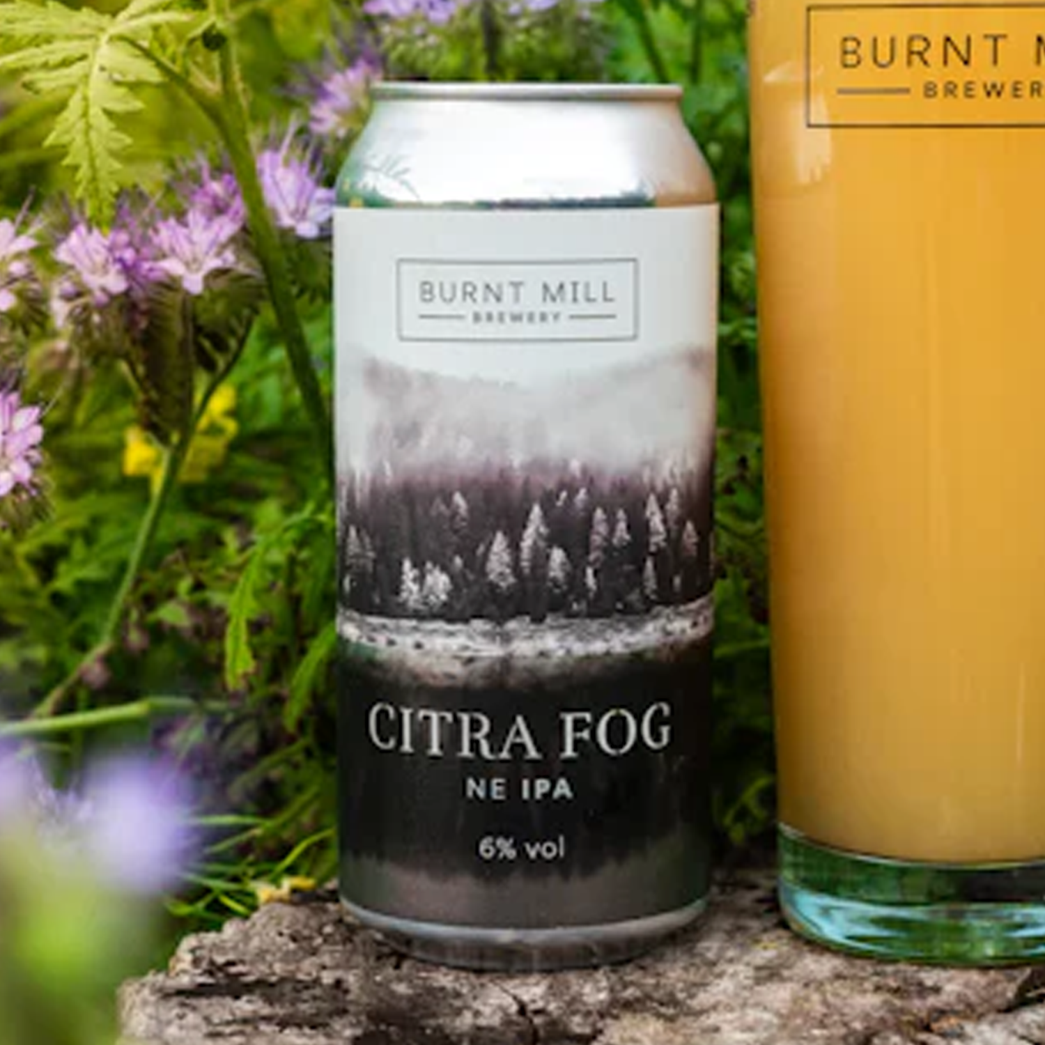 Burnt Mill Citra Fog NE IPA
