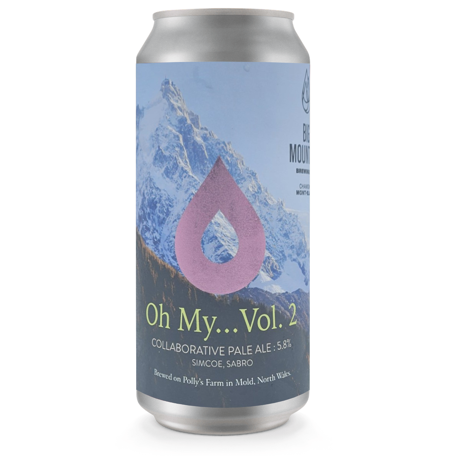 Polly's x Big Mountain Oh My...Vol.2 Pale Ale