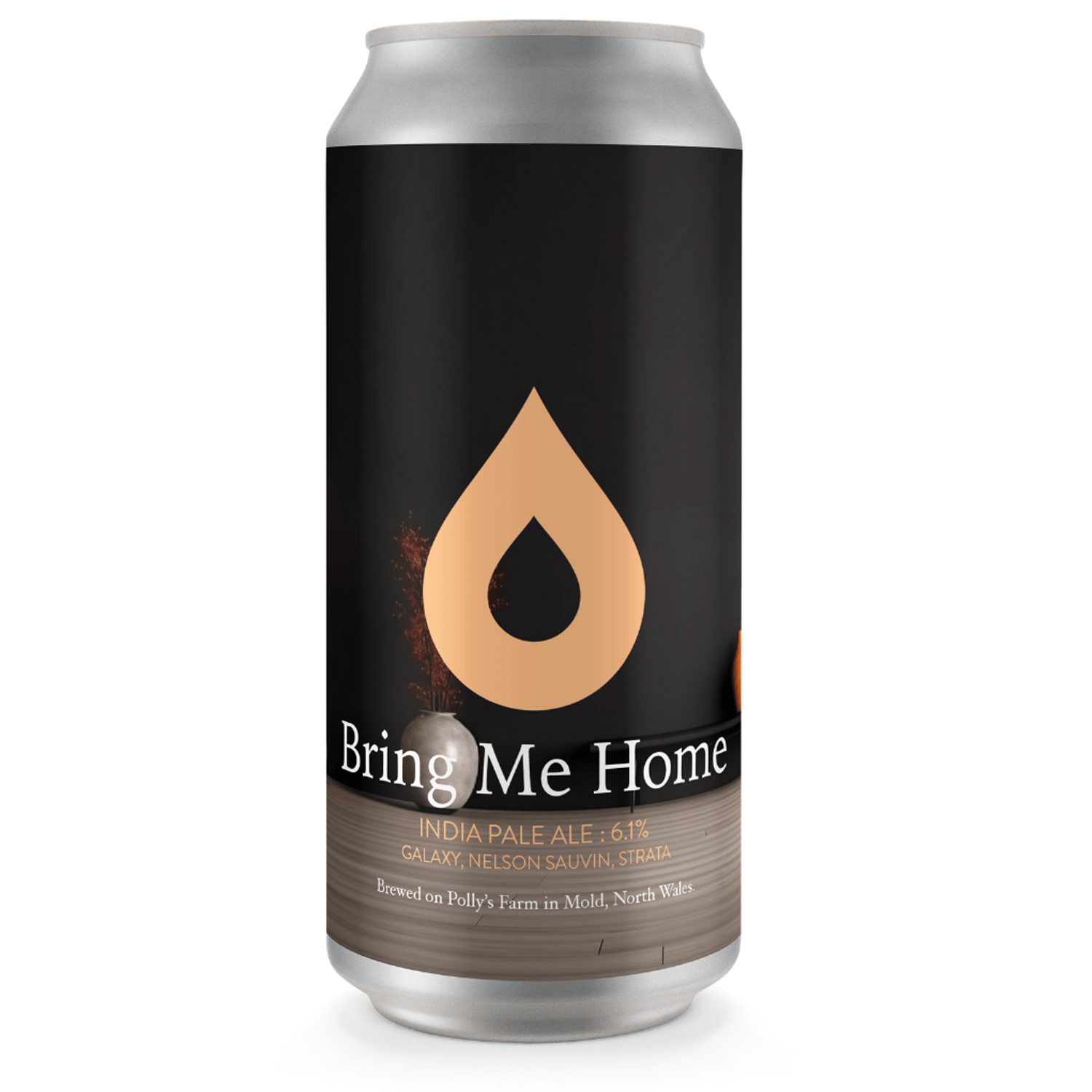 Polly&#39;s Bring Me Home IPA