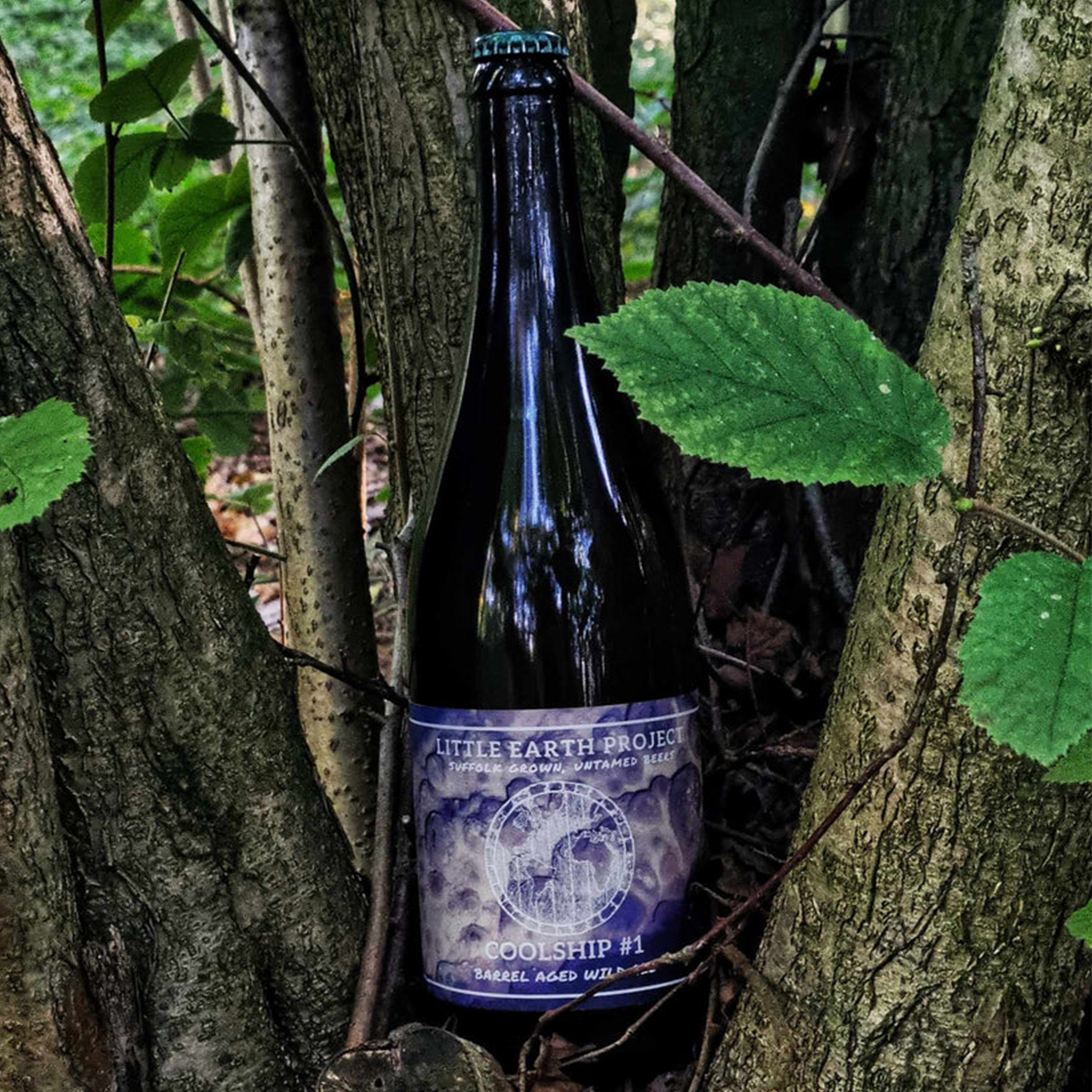 Little Earth Project Coolship #1 Barrel Aged Wild Ale Little Earth Project Coolship #1 Barrel Aged Wild Ale