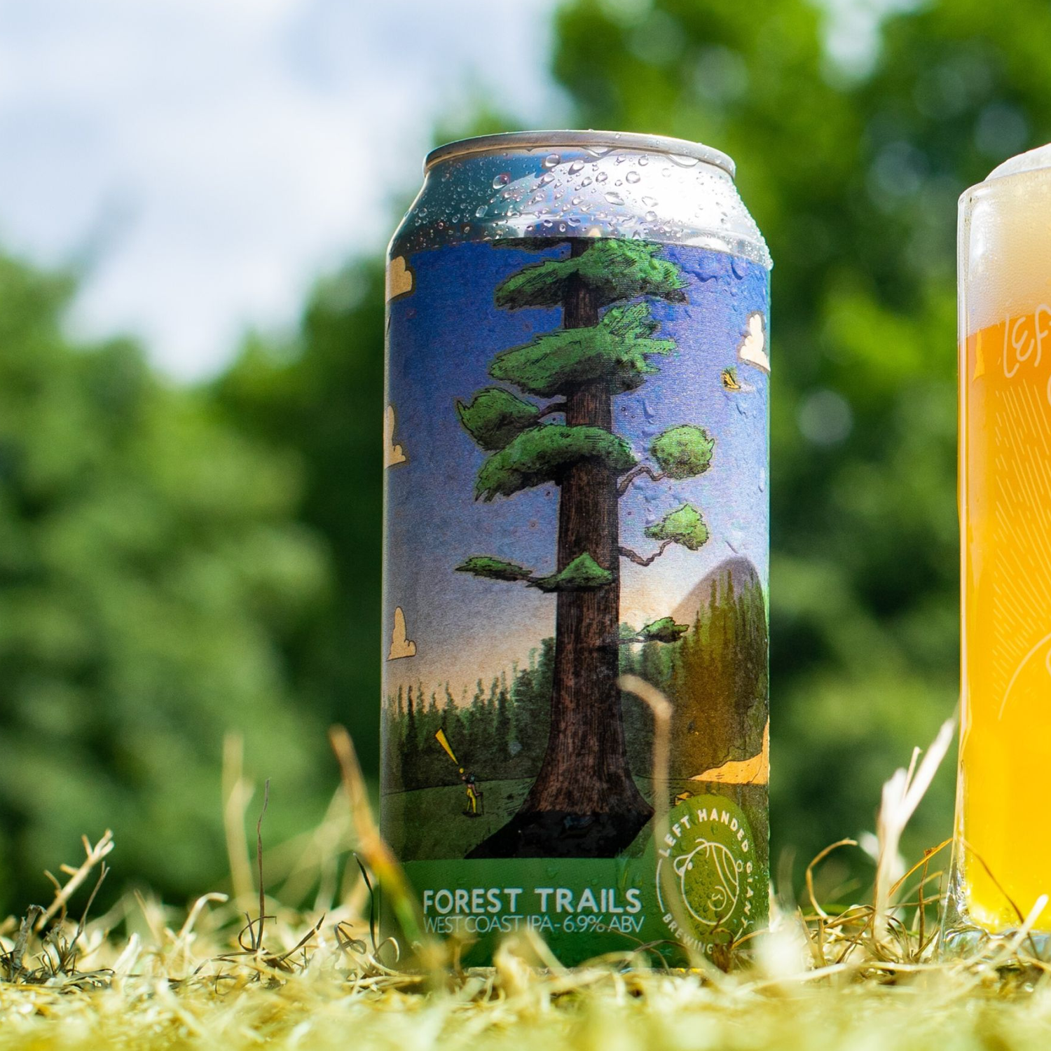 Left Handed Giant Forest Trails WC IPA