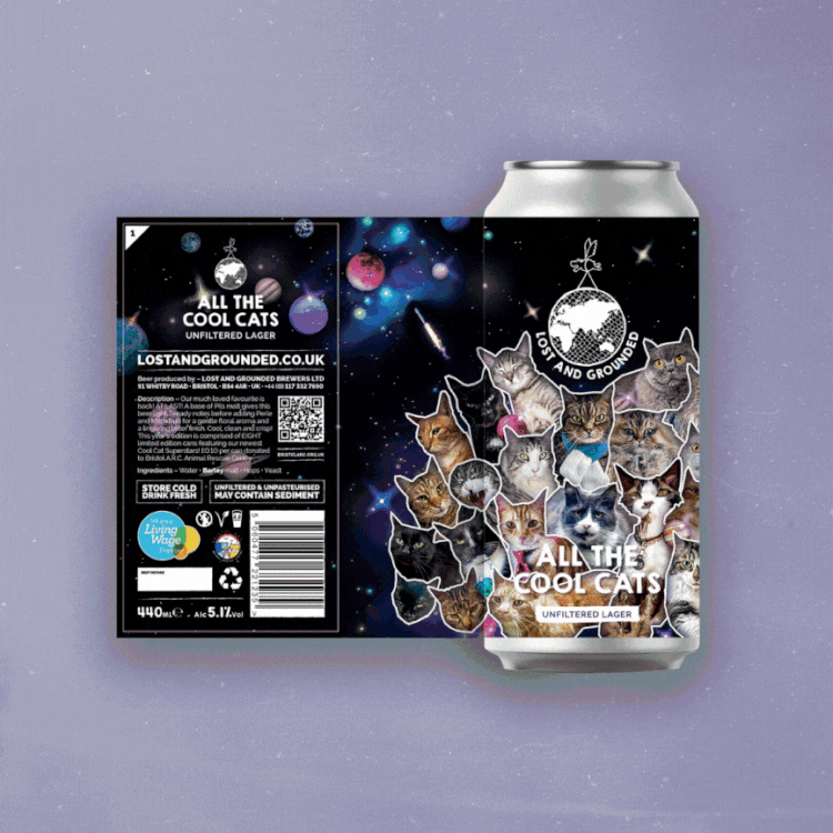 Lost &amp; Grounded All The Cool Cats Lager