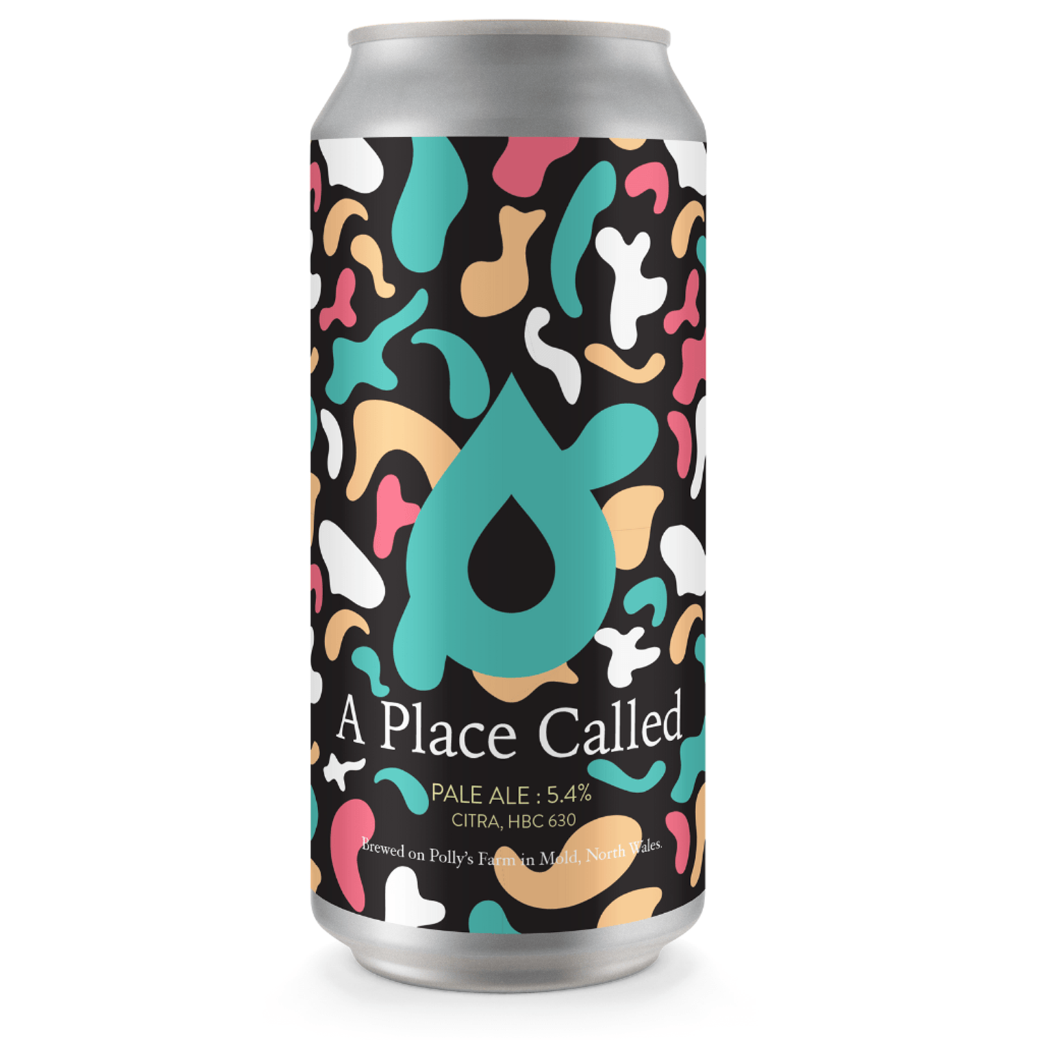 Polly's A Place Called Pale Ale Polly's A Place Called Pale Ale