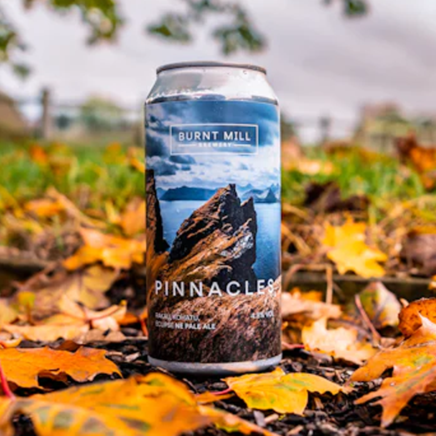 Burnt Mill Pinnacles GF NE Pale Ale Burnt Mill Pinnacles GF NE Pale Ale
