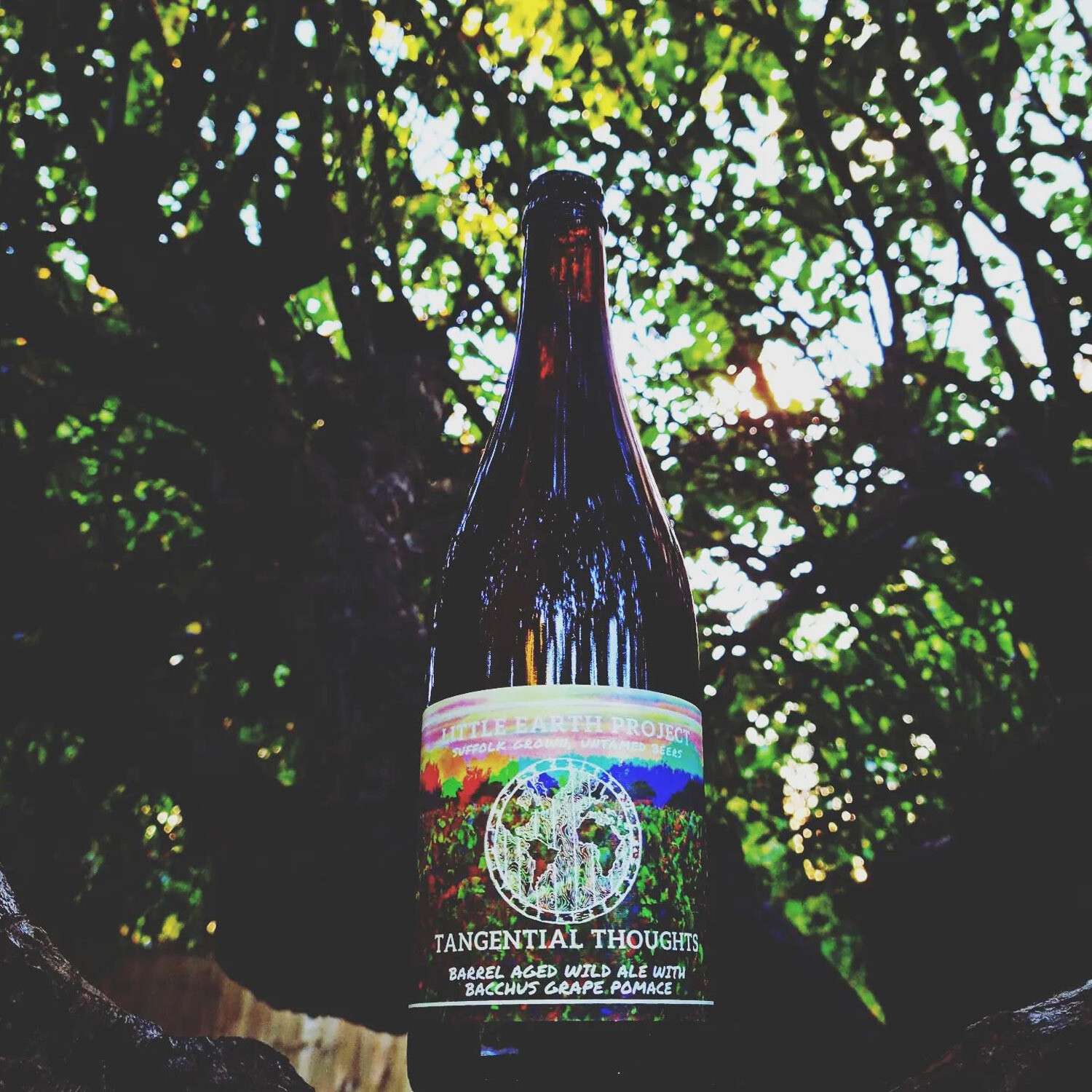 Little Earth Project Tangential Thoughts BA Wild Ale Little Earth Project Tangential Thoughts BA Wild Ale