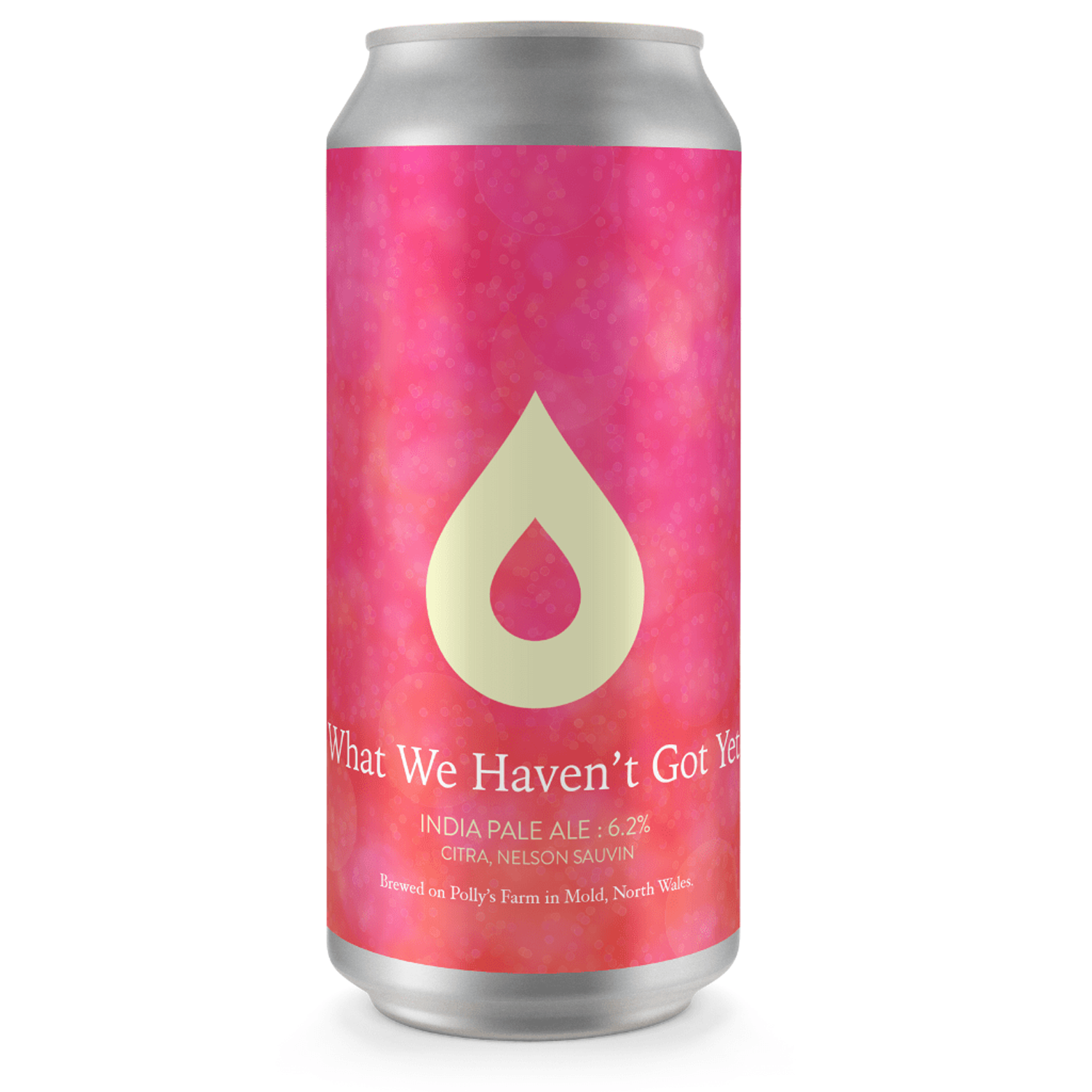 Polly's What We Haven't Got Yet IPA Polly's What We Haven't Got Yet IPA