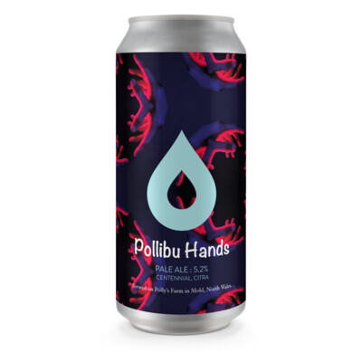 Polly's Pollibu Hands Pale Ale