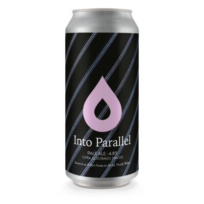 Polly's Into Parallel Pale Ale
