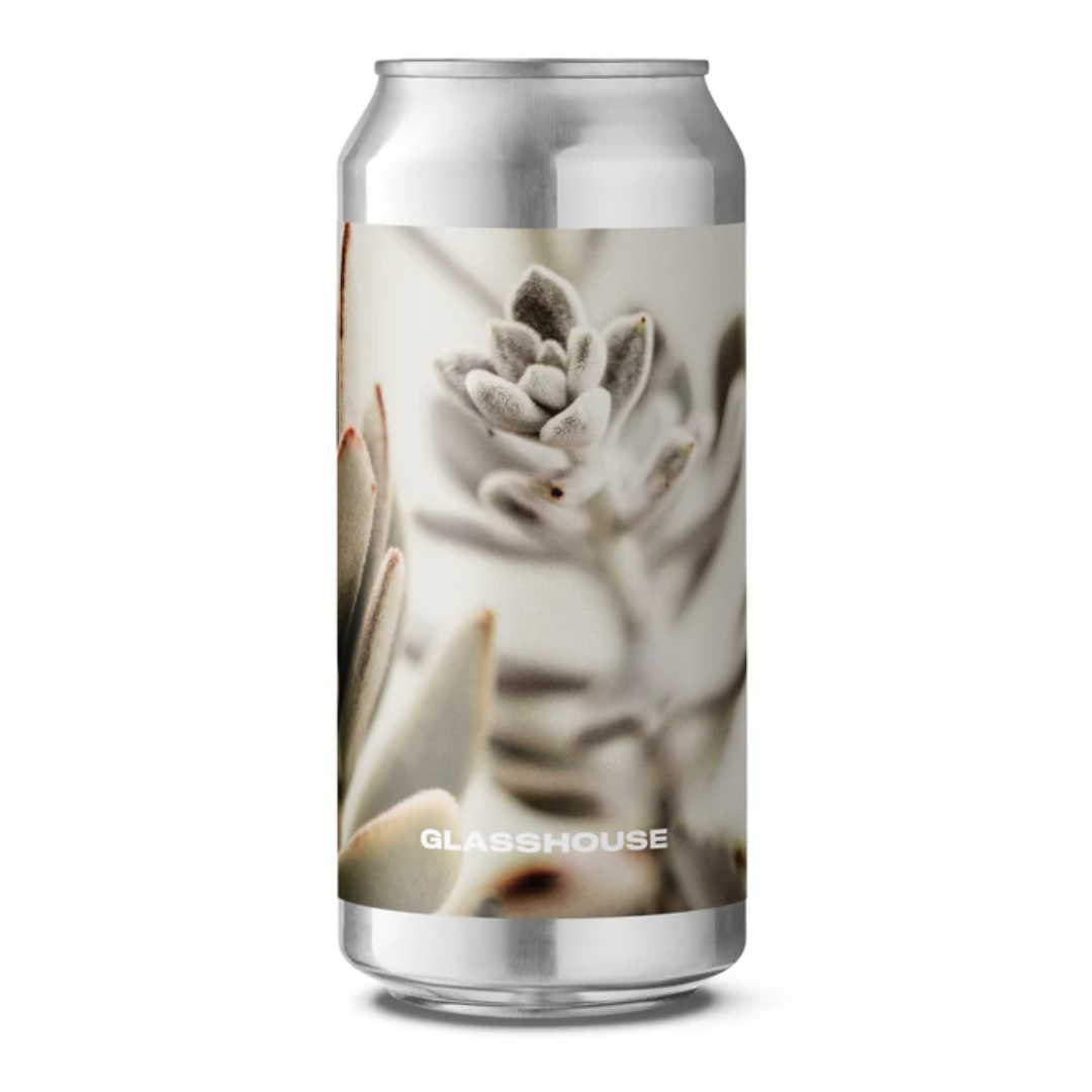 Glasshouse Shopping For House Plants IPA