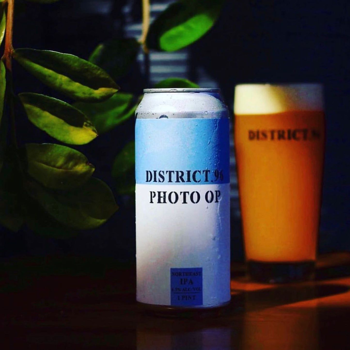 District 96 Photo Finish DIPA District 96 Photo Finish DIPA