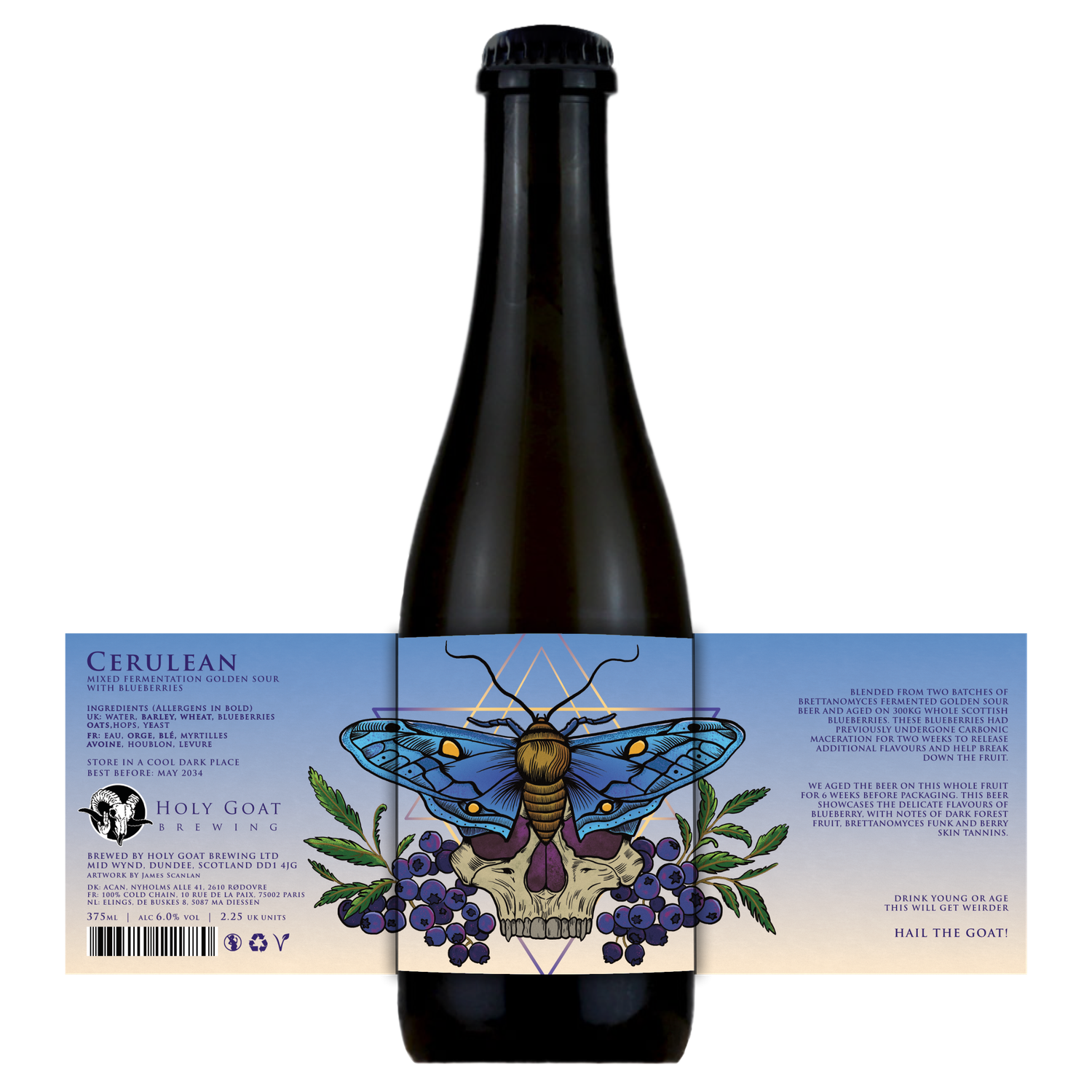 Holy Goat Cerulean Mixed Ferm Golden Sour with Blueberries