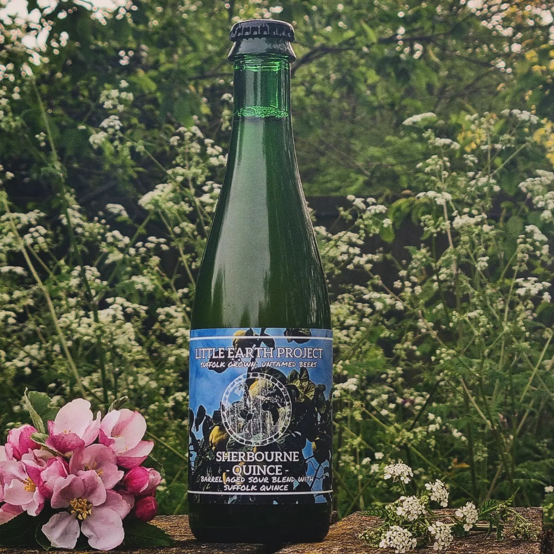 Little Earth Project Sherbourne Quince BA Sour