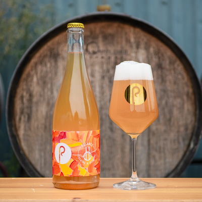 Pastore x Balance Apricot Casa BA Wild Ale