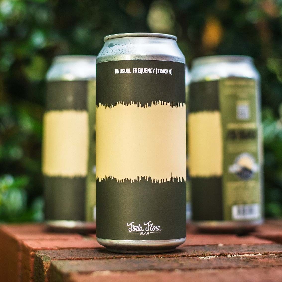 Fonta Flora x Finback Unusual Frequency Track 9 DIPA Fonta Flora x Finback Unusual Frequency Track 9 DIPA