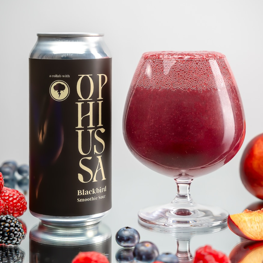 Ophiussa x Salama Blackbird Smoothie Sour Ophiussa x Salama Blackbird Smoothie Sour