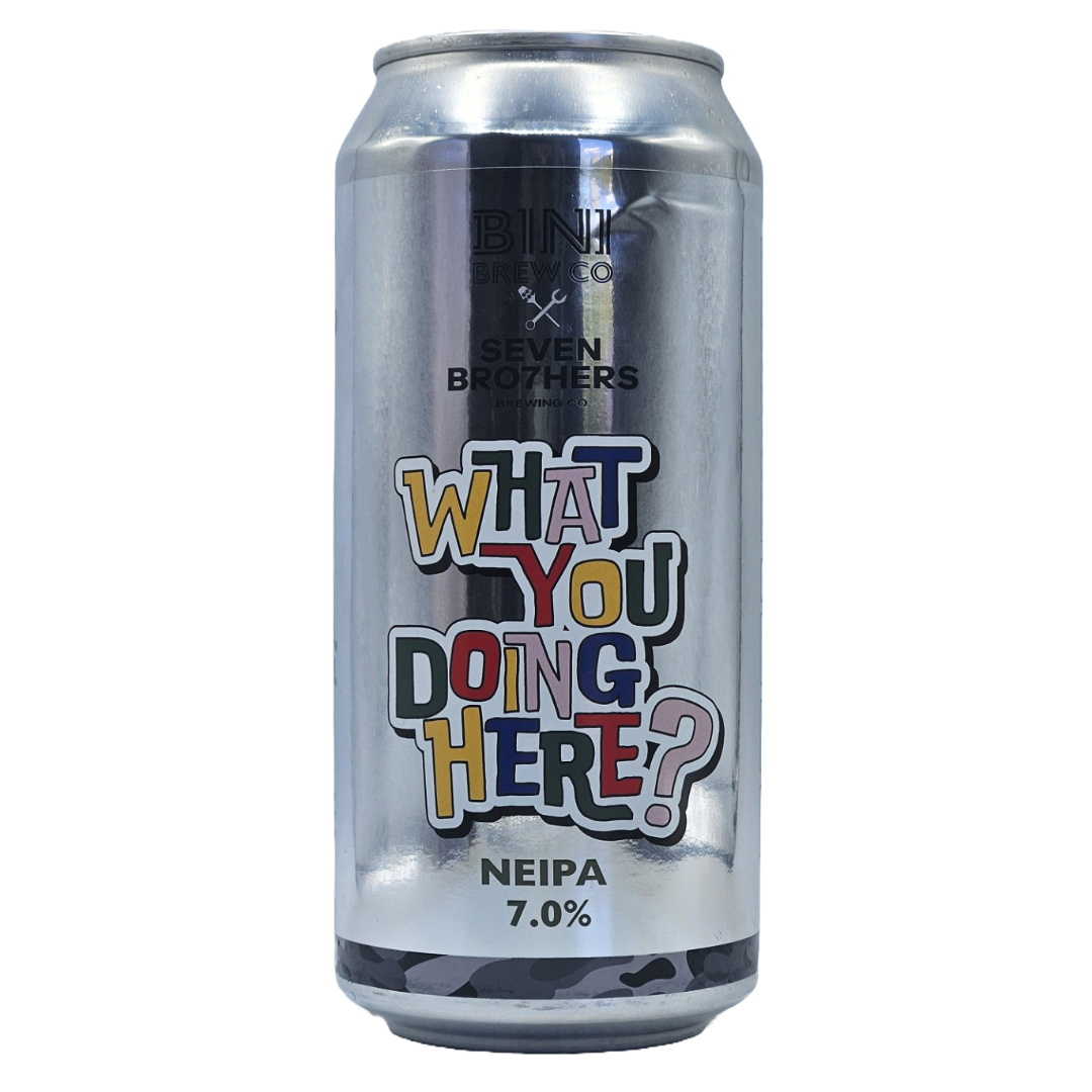 Bini x Seven Brothers What You Doing Here? NE IPA