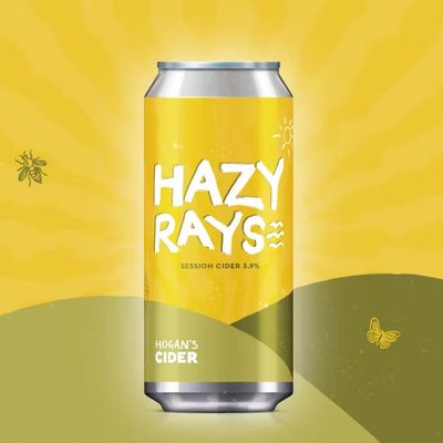 Hogan&#39;s Hazy Rays Medium-Sweet Cider