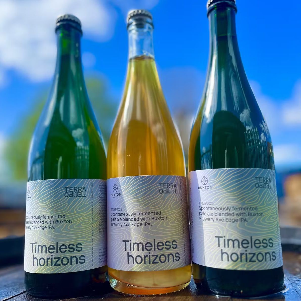 Terra Tempo x Buxton Timeless Horizons Sour Pale