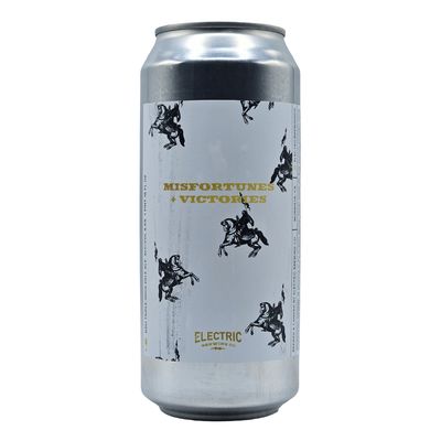 Electric Brewing Misfortunes &amp; Victories TIPA