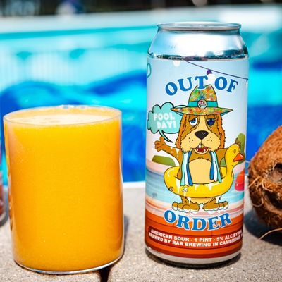 RAR Out Of Order Pool Day! Sour