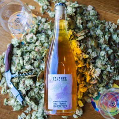 Balance Ernest + Admiral Season 2023 Cider