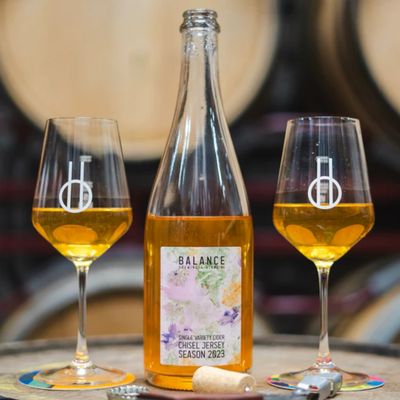 Balance Chisel Jersey Season 2023 BA Cider