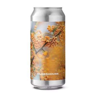 Glasshouse In Ochre IPA