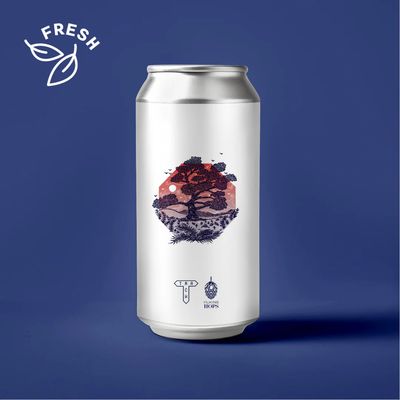 Track x Hukins Hops Dusk Lager