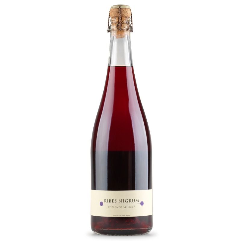 Cold Hand Ribes Nigrum 2020 Sparkling Blackcurrant Wine Cold Hand Ribes Nigrum 2020 Sparkling Blackcurrant Wine