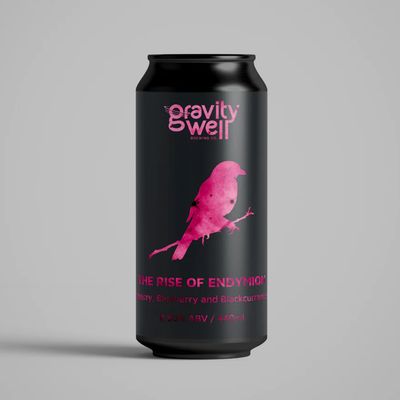 Gravity Well The Rise of Endymion Imperial Fruit Sour