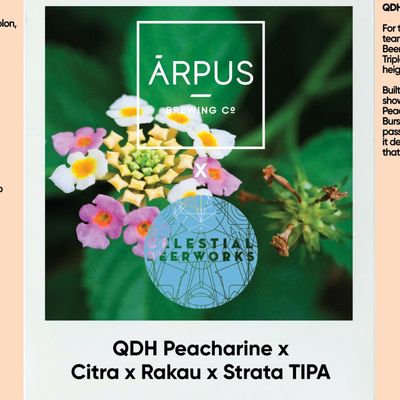Arpus x Celestial QDH Peacharine x Citra x Rakau x Strata TIPA