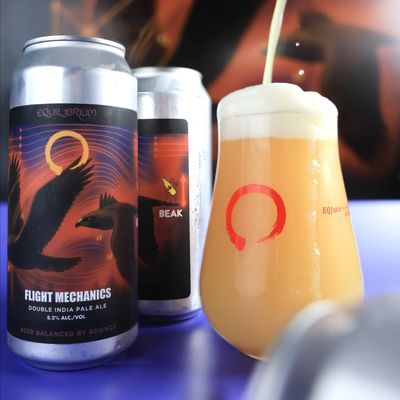 Equilibrium x Beak Flight Mechanics DIPA