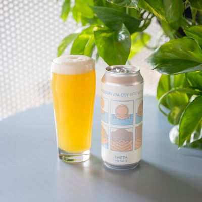 Hudson Valley Theta IPA