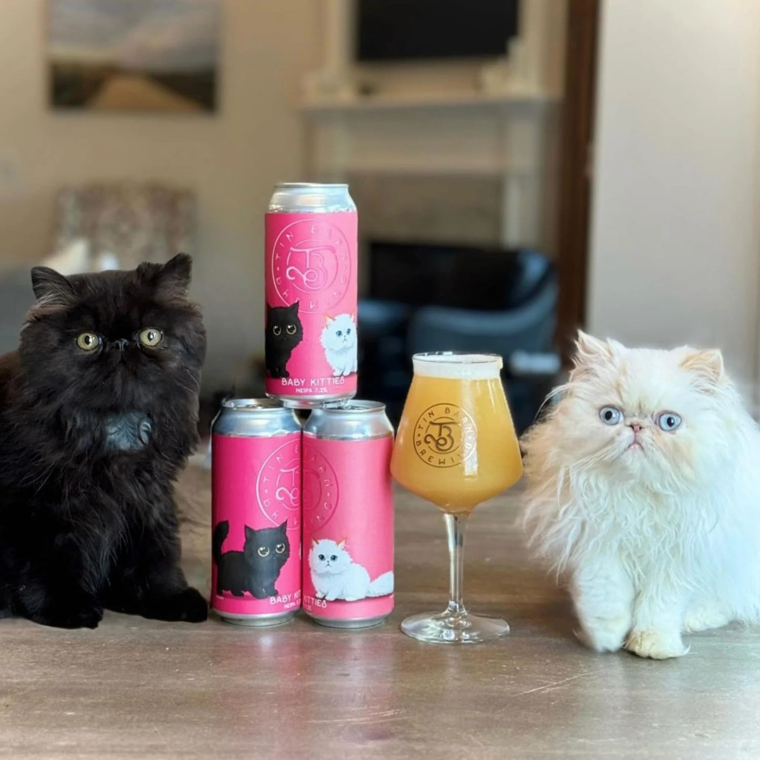 Tin Barn Baby Kitties NE IPA Tin Barn Baby Kitties NE IPA