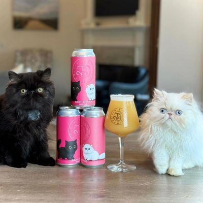 Tin Barn Baby Kitties NE IPA Tin Barn Baby Kitties NE IPA