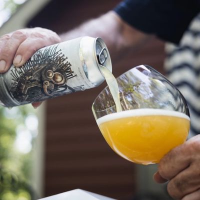 Adroit Theory Memories Change Their Shape DDH NE DIPA