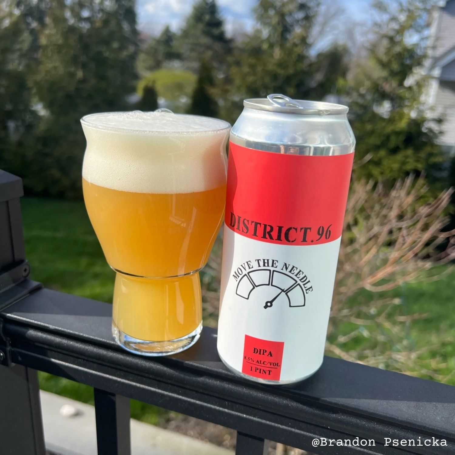 District 96 Move the Needle NE DIPA