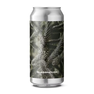 Glasshouse Monkey Puzzle IPA