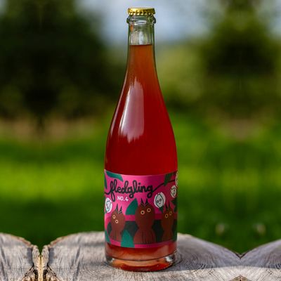 Nightingale Fledgling No4 Cider