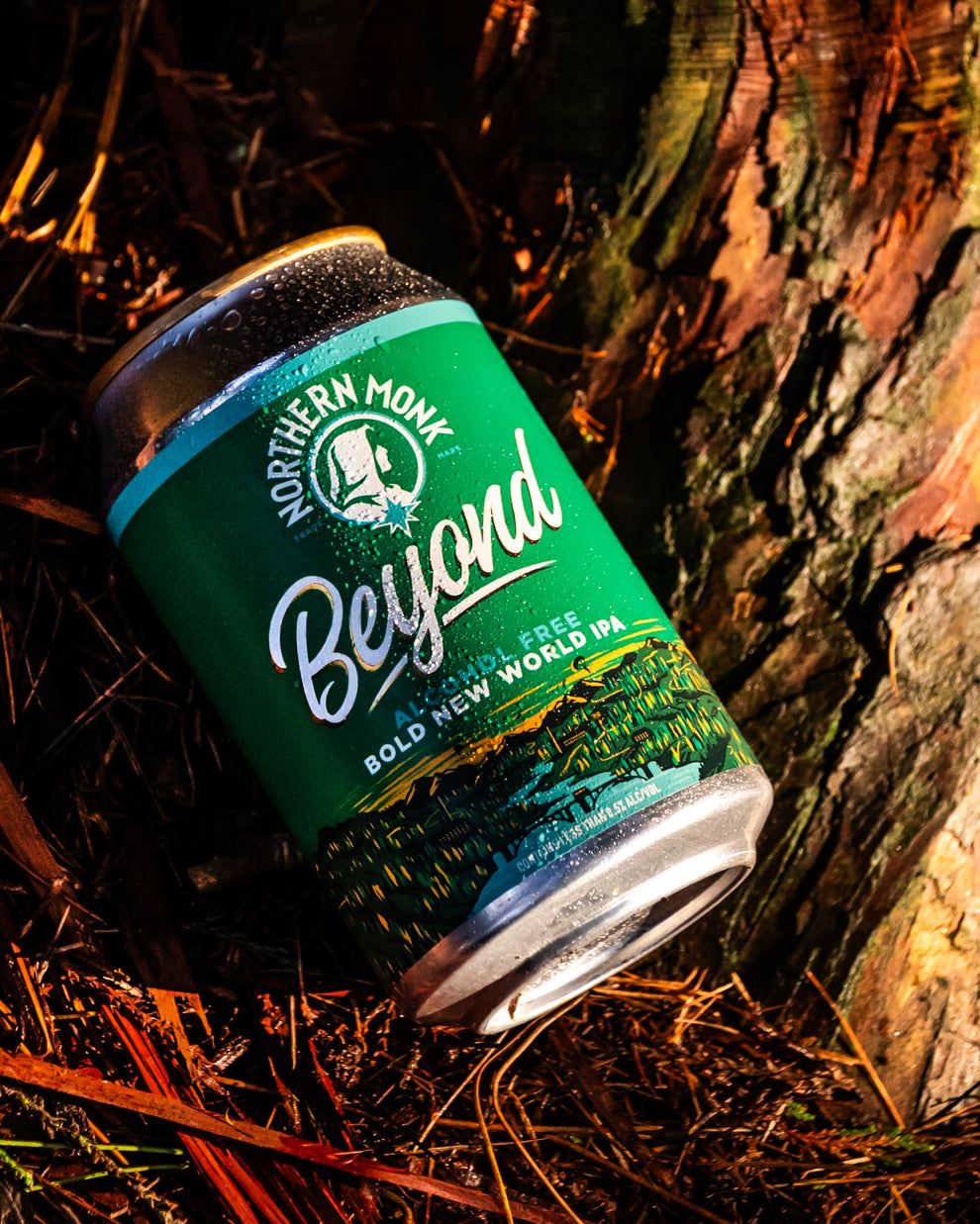 Northern Monk Beyond Alcohol Free IPA Northern Monk Beyond Alcohol Free IPA