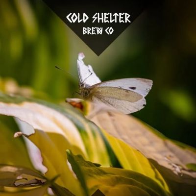 Cold Shelter Whispers in the Wind Sour IPA Cold Shelter Whispers in the Wind Sour IPA