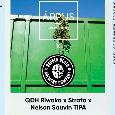 Arpus x Sudden Death QDH Riwaka x Strata x Nelson Sauvin TIPA