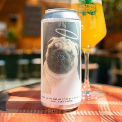 Evil Twin How About One of Your Evil Twin Type Long Beer Names? TIPA