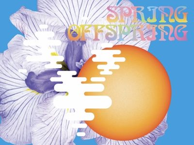 Elmeleven Spring Offspring DIPA