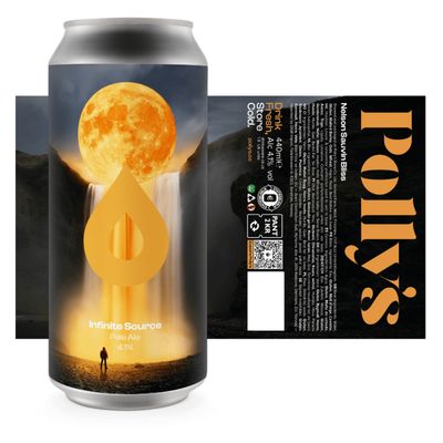 Polly's Infinite Source Pale Ale Polly's Infinite Source Pale Ale